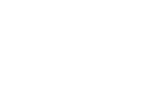 logo-sat-white